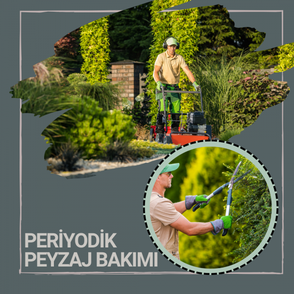 Periyodik Peyzaj Bakımı 1