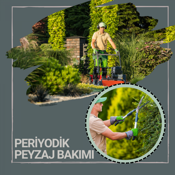 Periyodik Peyzaj Bakımı