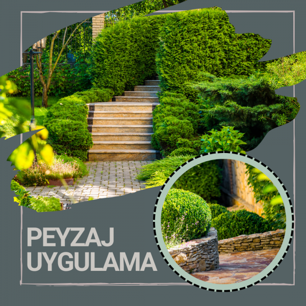 Peyzaj Uygulama 1