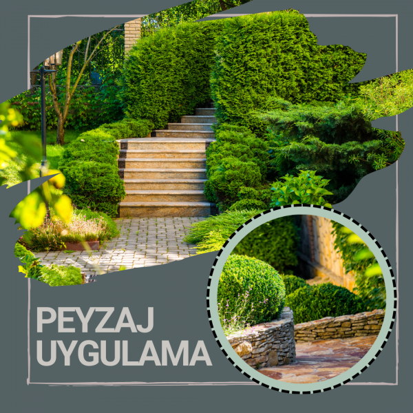 Peyzaj Uygulama