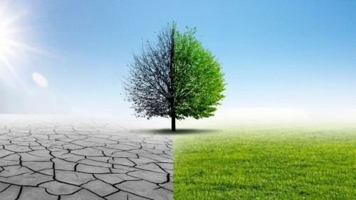 Take nature out of life, what's left?